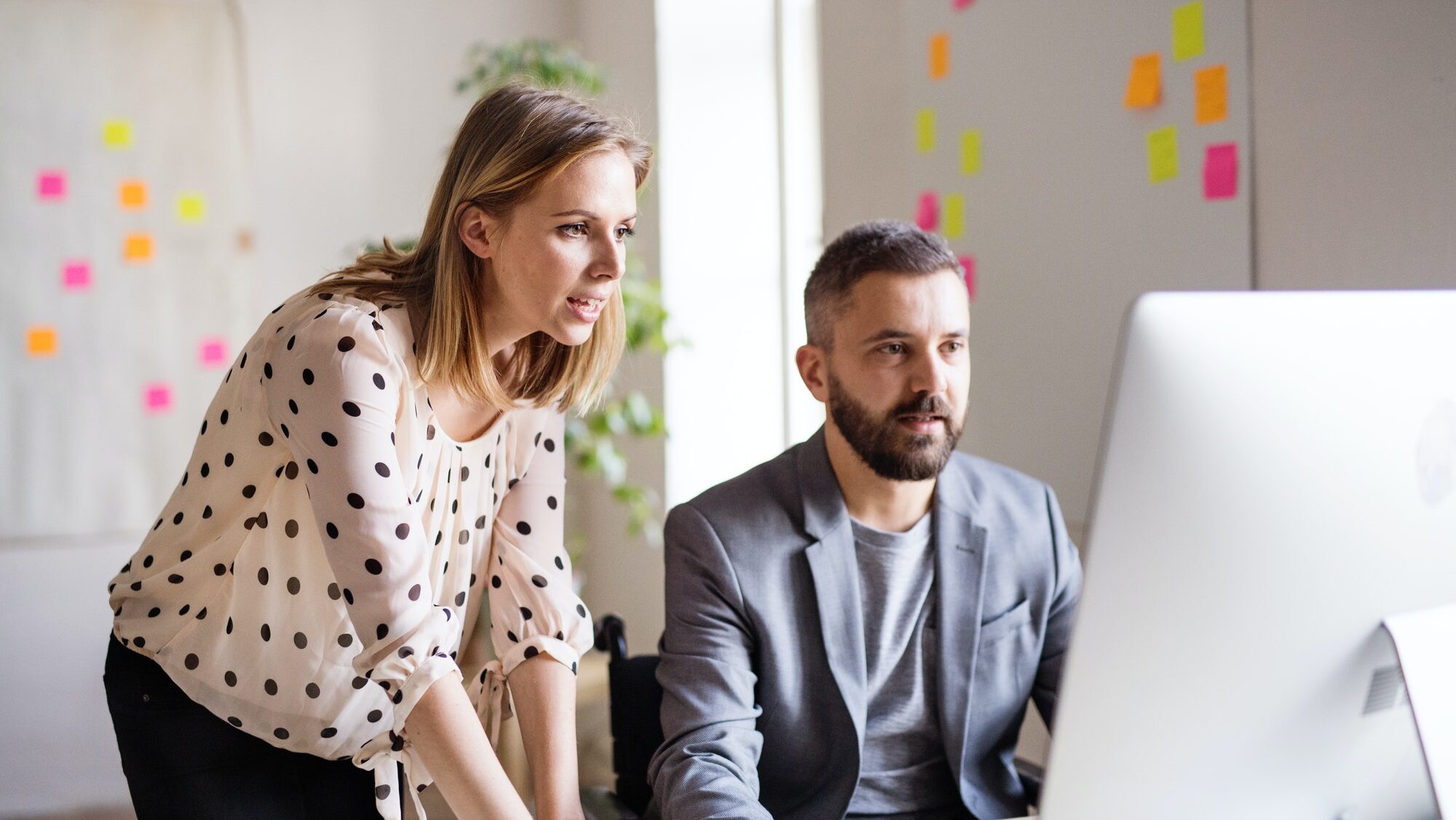 Complimentary Business Review